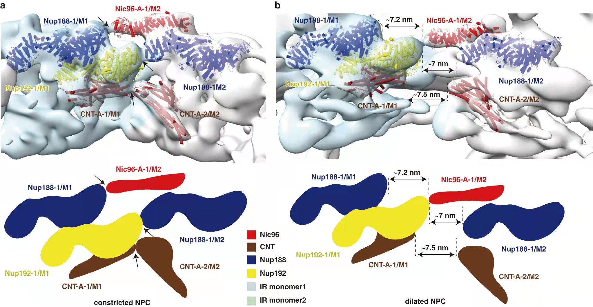 014d0b4349d7d5b11f45d7a80f7c0a7.jpg 014d0b4349d7d5b11f45d7a80f7c0a7.jpg