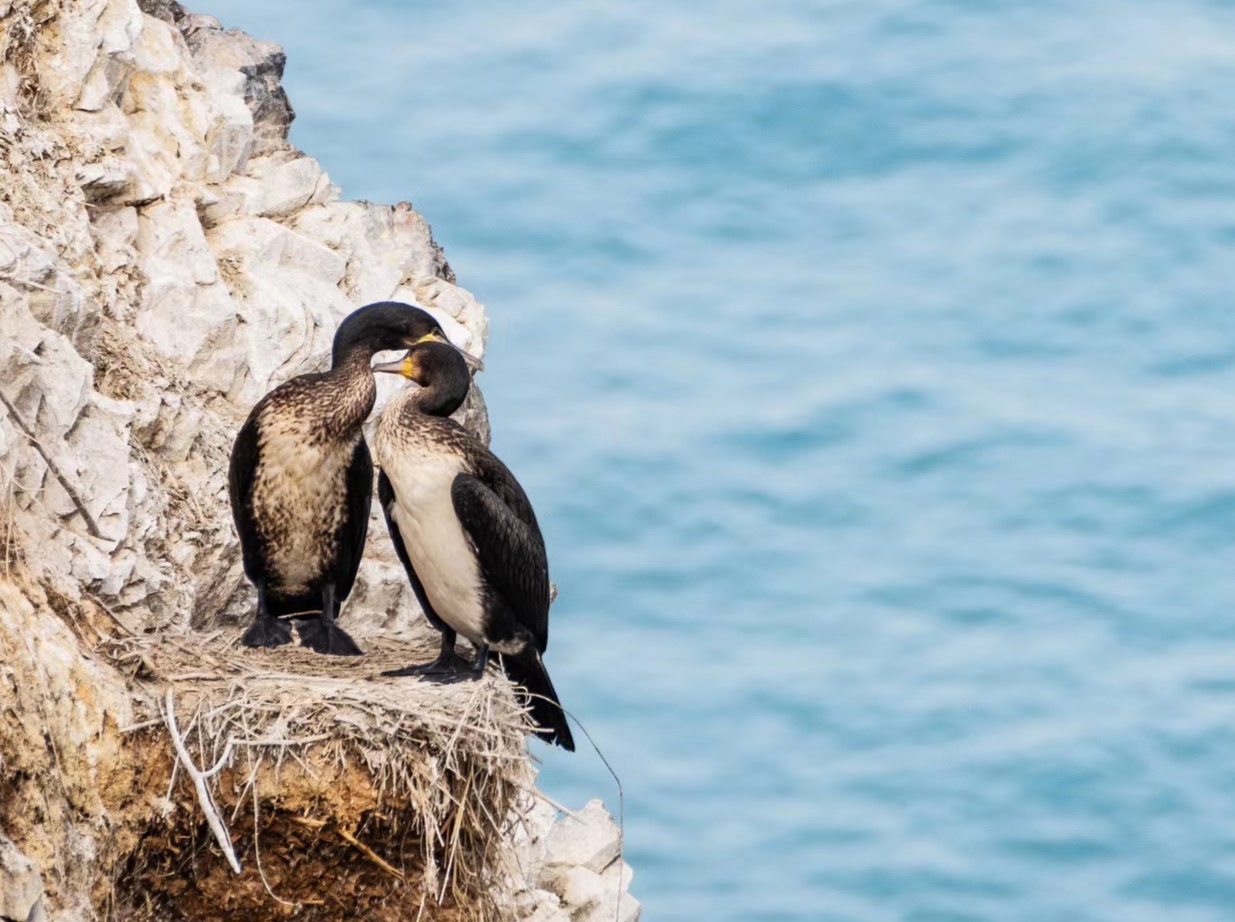 ../Library/Containers/com.tencent.xinWeChat/Data/Library/Application%20Support/com.tencent.xinWeChat/2.0b4.0.9/dc3ba561147dbcf5b10fbbf860b08471/Message/MessageTemp/dc3ba561147dbcf5b10fbbf860b08471/Image/7241599208117_.pic_hd.jpg ../Library/Containers/com.tencent.xinWeChat/Data/Library/Application%20Support/com.tencent.xinWeChat/2.0b4.0.9/dc3ba561147dbcf5b10fbbf860b08471/Message/MessageTemp/dc3ba561147dbcf5b10fbbf860b08471/Image/7241599208117_.pic_hd.jpg