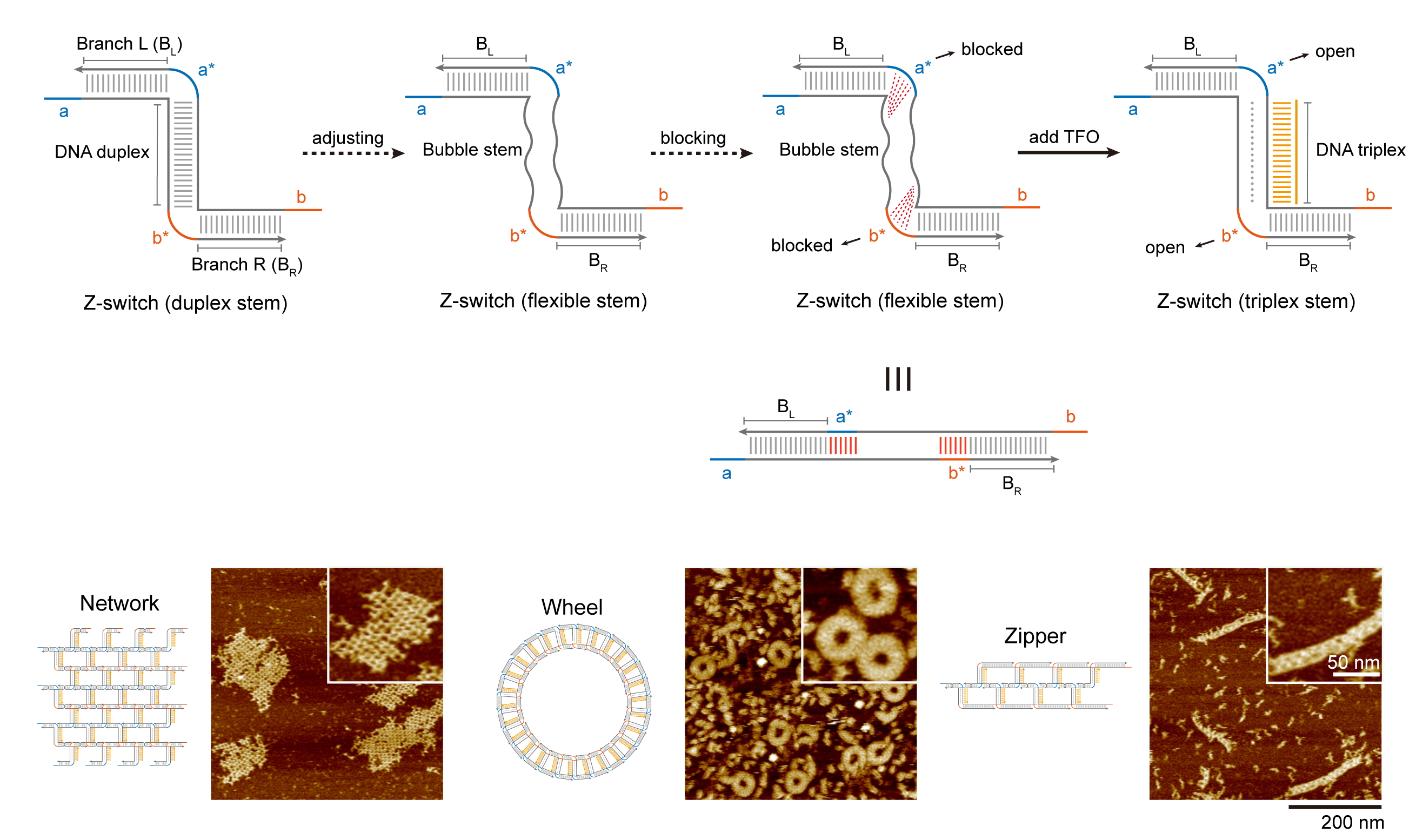 3c55290ce666935095d228665f27c6a.jpg 3c55290ce666935095d228665f27c6a.jpg