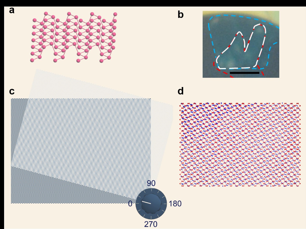 科研11.jpg 科研11.jpg