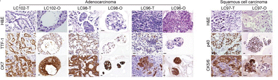 1620508245(1) 1620508245(1)