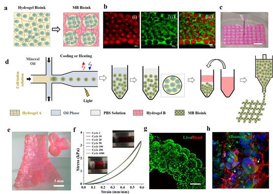 微信图片_20211217161726.png 微信图片_20211217161726.png