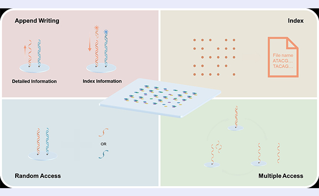 空白背景new1  - 副本.jpg