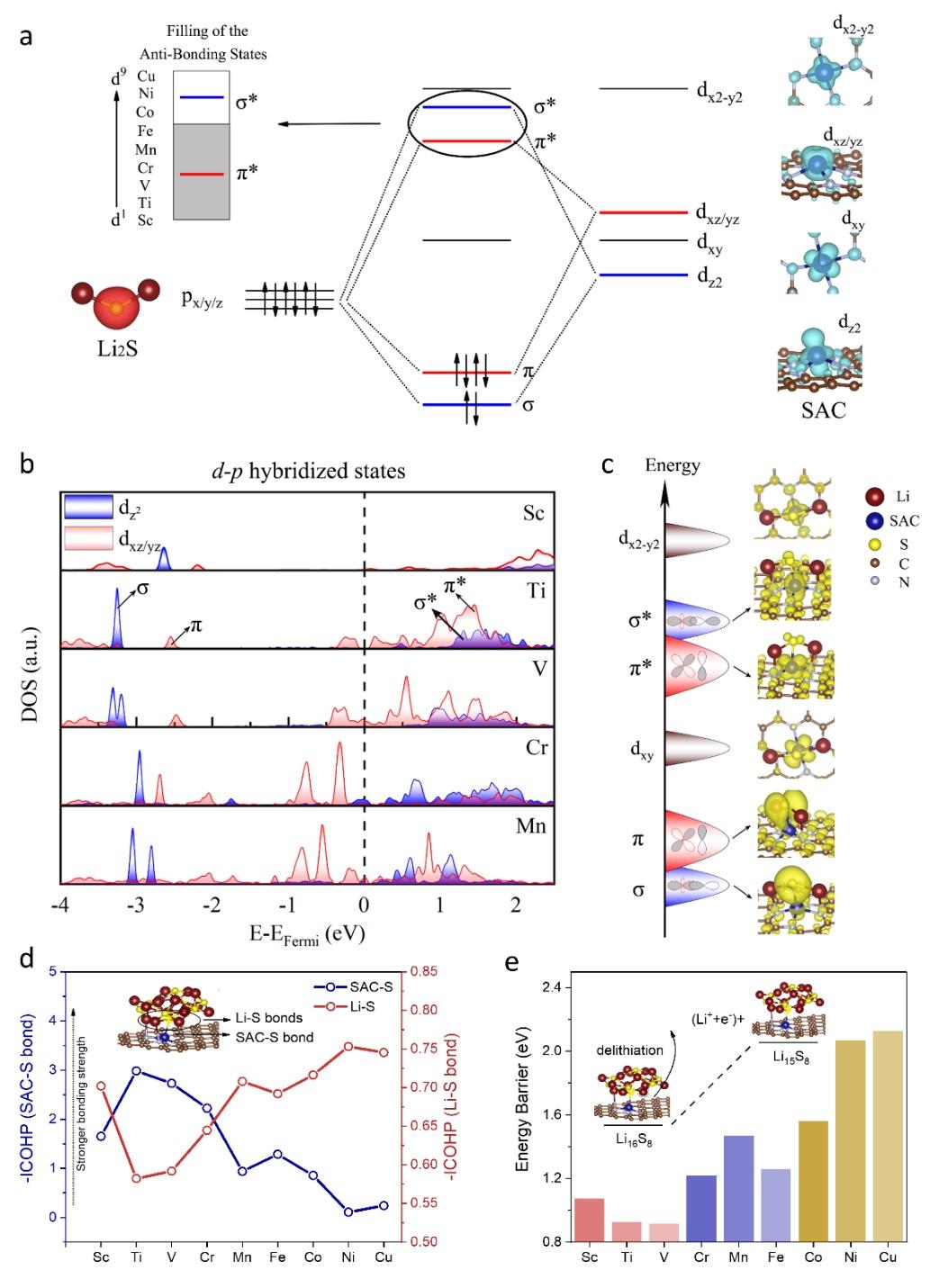 20211112-韩志远-图1. SACs与硫化锂间d-p轨道杂化状态指导筛选高催化活性SACs-国际研究生院.jpg undefined