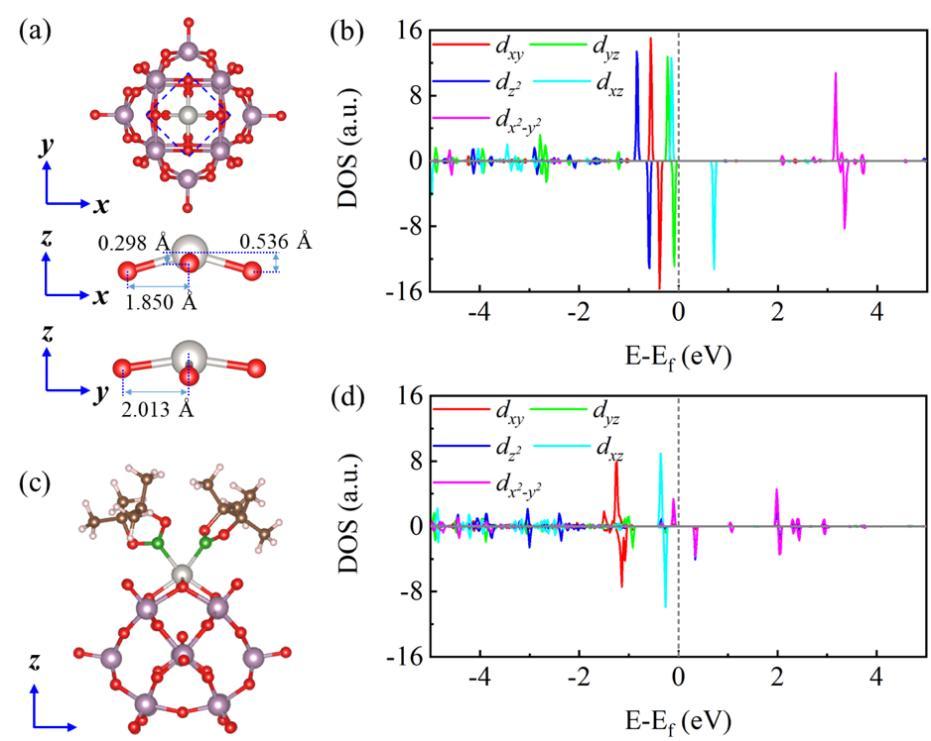 (a) Pt1-PMo@MIL-101的结构和Pt1的放大配位环境(蓝色虚线方块);(b) 铂单原子d轨道的PDOS图;(c) Bpin2分子吸附后Pt1-PMo@MIL-101的结构;(d) Bpin2分子吸附后铂单原子d轨道的PDOS图.jpg (a) Pt1-PMo@MIL-101的结构和Pt1的放大配位环境(蓝色虚线方块);(b) 铂单原子d轨道的PDOS图;(c) Bpin2分子吸附后Pt1-PMo@MIL-101的结构;(d) Bpin2分子吸附后铂单原子d轨道的PDOS图.jpg