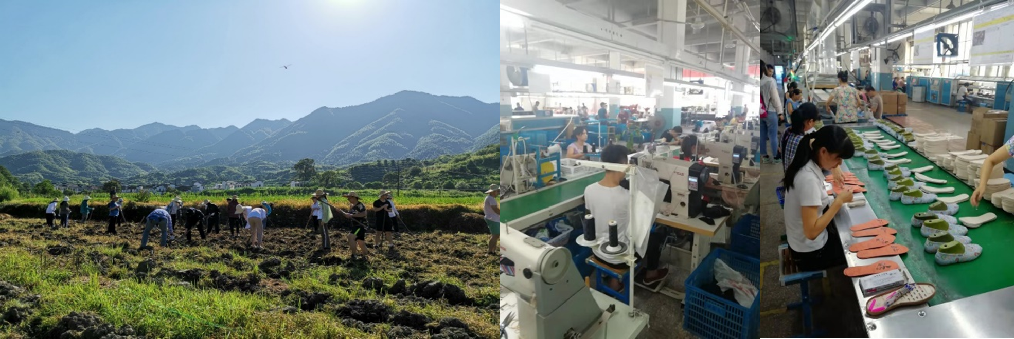 20190701-江西婺源耕读-新雅师生-翻垄、播种(左1)及同学们在生产车间流水线上png 20190701-江西婺源耕读-新雅师生-翻垄、播种(左1)及同学们在生产车间流水线上png