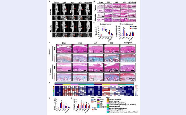 空白背景1new - 副本.jpg