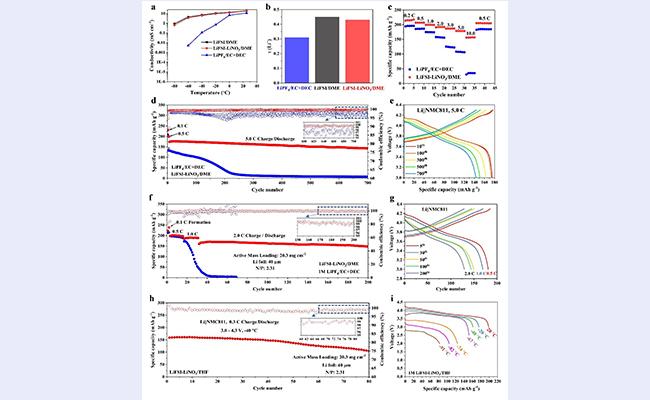 空白背景1new - 副本.jpg